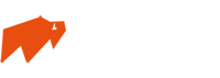 Buffalo Flood Systems Logo